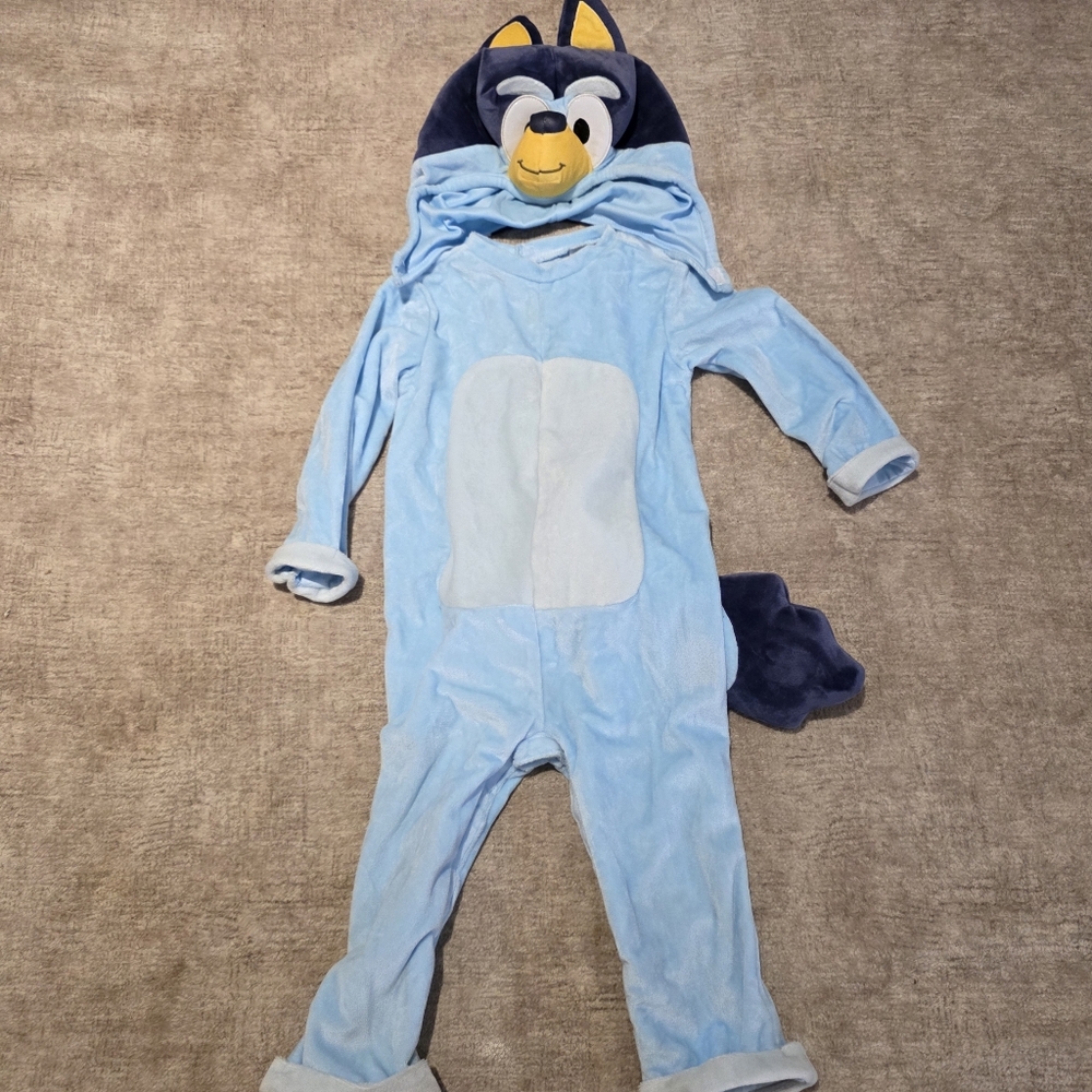 Bluey Bingo Costume